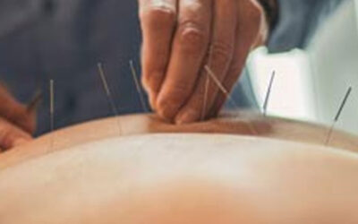 Natural Therapies at Kakie Organics